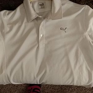White puma polo